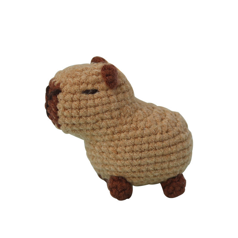 Capybara Beginner Crochet Kit